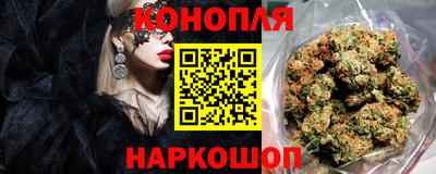 apvp Гатчина