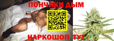 apvp Гатчина