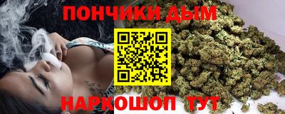 apvp Гатчина