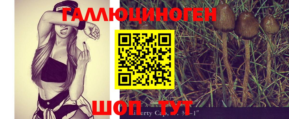 Псилоцибиновые грибы мицелий  Галлюциногенные грибы Cubensis  Ялта 