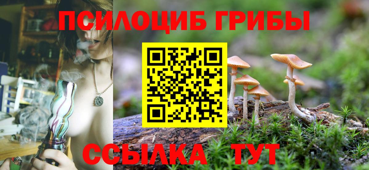 Галлюциногенные грибы Psilocybine cubensis Ялта