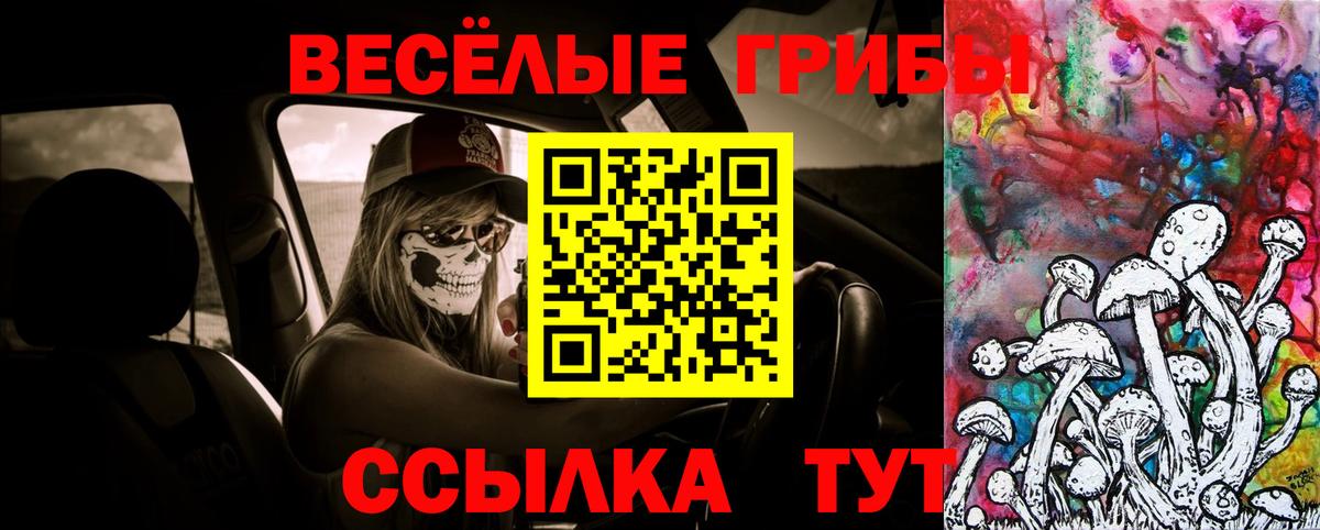 Галлюциногенные грибы Psilocybine cubensis Ялта