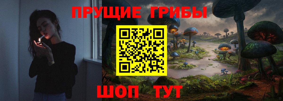 Ялта  Галлюциногенные грибы Psilocybine cubensis  Вход с VPN 